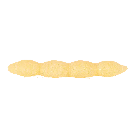 Pasta Shape