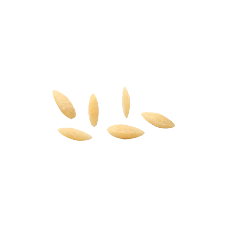 Pasta Shape